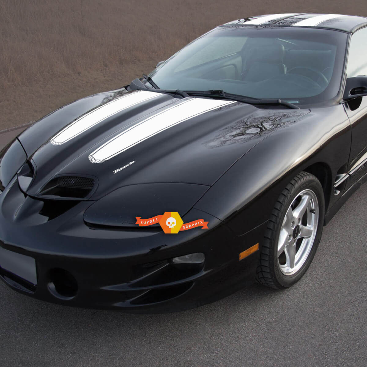 Dual Stripes Hood Roof Tailgate Vinyl Decal Kit for Pontiac Firebird Trans Am