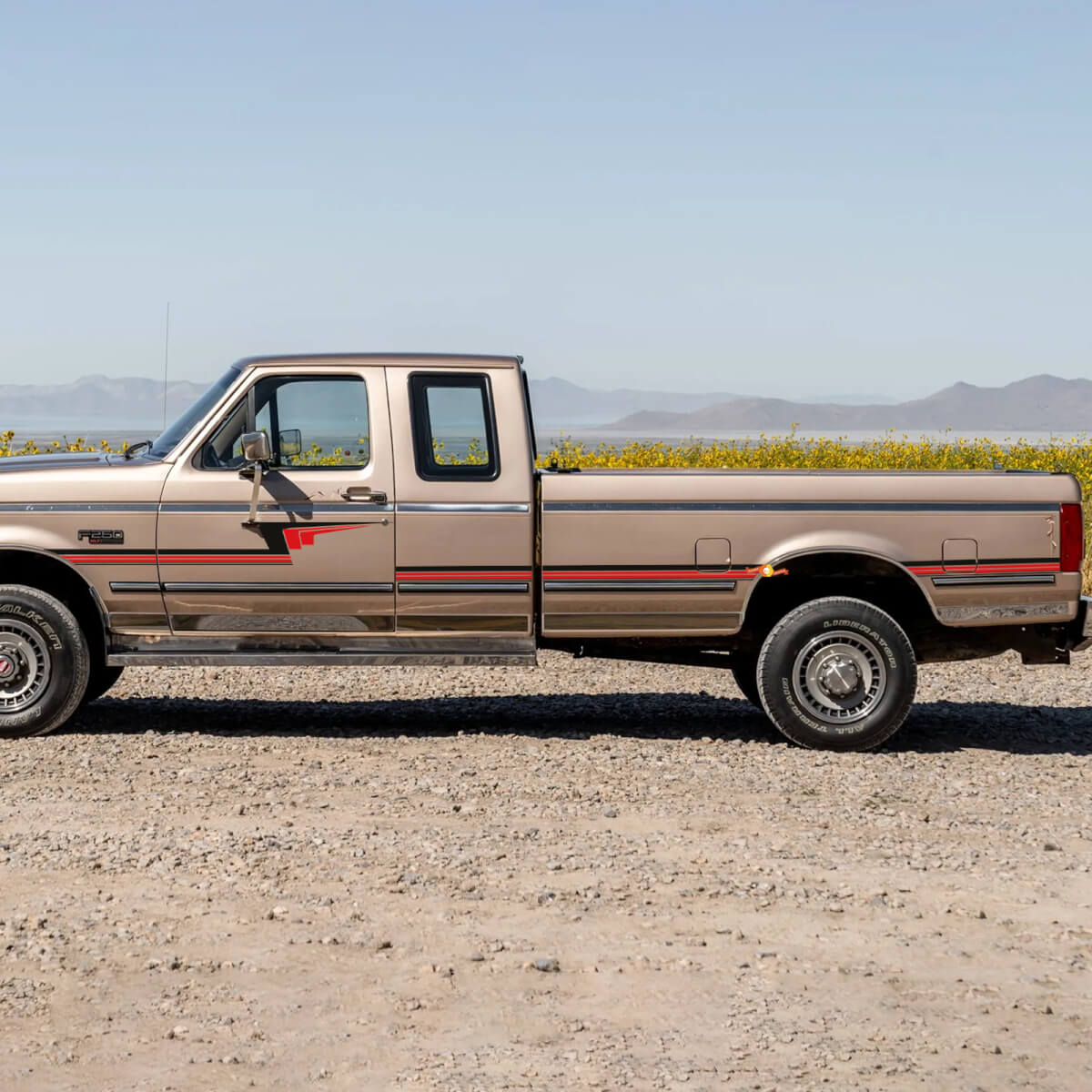 Retro Pin Stripe Strepen Decal Kit - Bedside Vinyl Sticker Stel Side Graphics vir Ford F250 1992 Super Cab