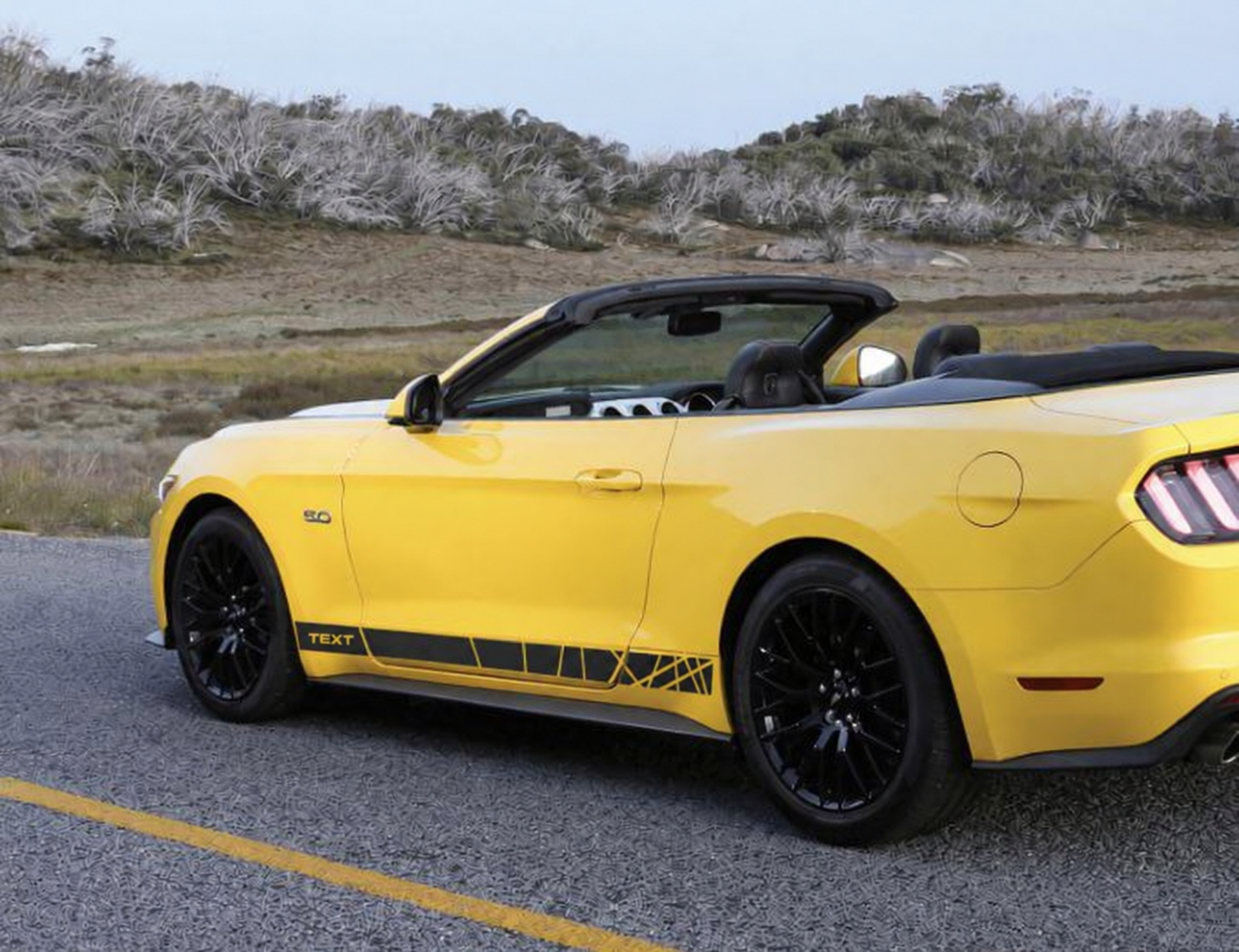 TEXT Accent Stripes Side Vinyl Decal Sticker for Ford Mustang