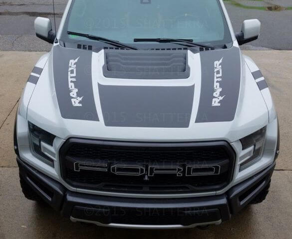 Double Autocolant Graphique Vinyle Capot Predator Svt Rph-003 Autocollant pour Ford F-150 Raptor