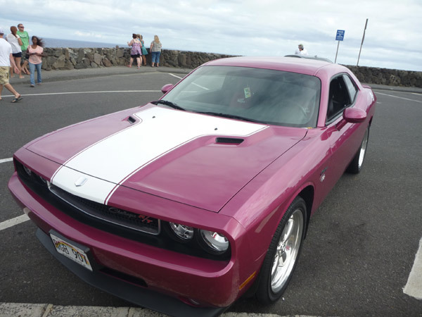 2008 - 2014 Dodge Challenger One-Piece Vintage  Hood Sticker Decal Kit
