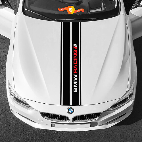 Vinyl Decals Graphic Stickers BMW hood in middle BMW racing palette 2022
