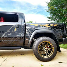 Dinosaurs T-Rex Splash Door Rear Side Splash Vinyl Sticker Decal Graphic for Dodge Ram Rebel 1500 TRX 3