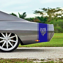 Wildcat Style Stripes Bedside Vinyl Decal Kit for Dodge Charger 1968-70_3