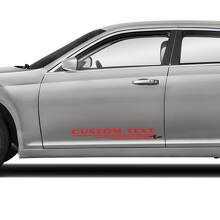 Custom Text Doors Graphics Car Vinyl Decals Stickers for Chrysler 300 3