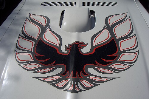 Bird Hood Vinyl Decal for Pontiac Firebird Trans Am