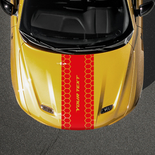 Custom Text Honeycomb Style Hood Stripe Vinyl Decal for Dodge Hornet_2