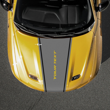 Tapering Stripe Custom Text Hood Vinyl Decal for Dodge Hornet_3