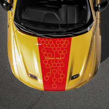 Honeycomb Custom Text Hood Stripe Vinyl Decal for Dodge Hornet_2