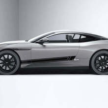 Vinyl Decal Stripes for Side Doors 3 Pack for Aston Martin DB11 3