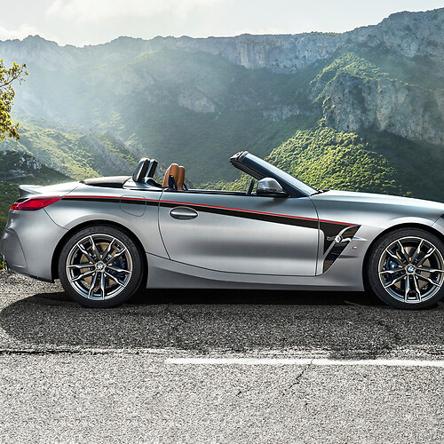 Side Accents Door Stripes Vinyl Decal Sticker fit to BMW Z4

