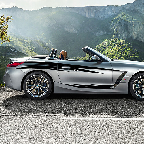 Side Accents Tribal Door Stripes Vinyl Decal Sticker fit to BMW Z4
