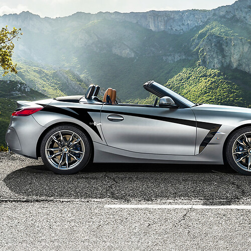 Side Door Accents Stripes BMW Z4 Vinyl Decal Sticker
