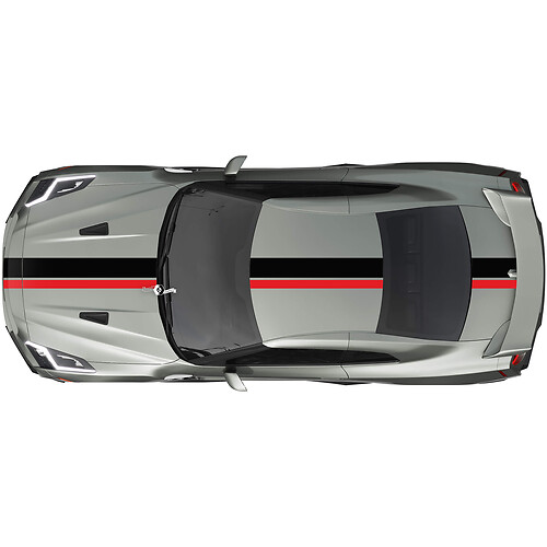 Full Body Dual Racing Stripes Decal Kit for Nissan GT-R
