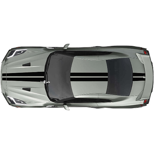 Full Body Dual Racing Stripes Decal Kit for Nissan GT-R in one colour
