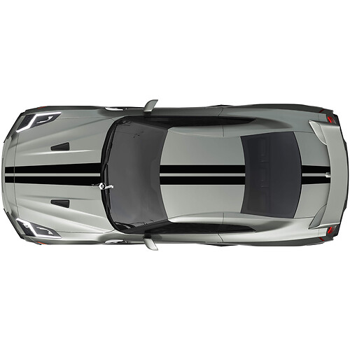 Full Body Dual Racing Stripes Decal Kit for Nissan GT-R
