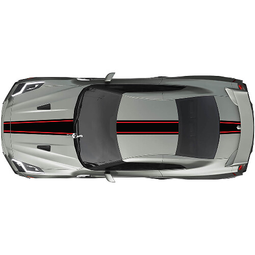 Full Body pin Racing Stripes Decal Kit for Nissan GT-R 2
