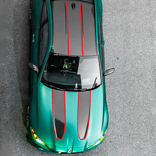 Thin Accent Stripes Hood Roof Vinyl Decal Sticker for BMW M4