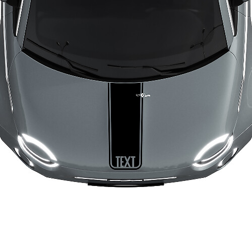 Custom Text Central Bonnet Stripe Decal Sticker Graphics for Fiat 500