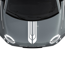 500 Dual Central Hood Stripe Decal Sticker Graphics for Fiat 500
 2