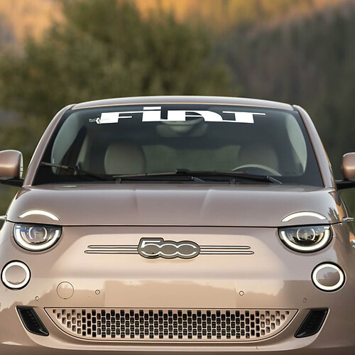 Front Windshield Decal Graphics for Fiat 500 1
