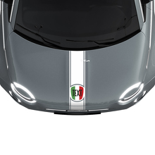 Stripe Bandiera Italia Adesivo Decalcomania Grafica per Fiat 500
 2