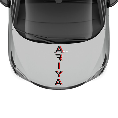Hood Dual Colors Stripe Racing Graphics Decal for Nissan ARIYA
 1