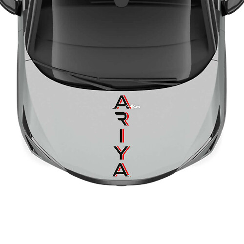 Hood Dual Colors Stripe Racing Graphics Decal for Nissan ARIYA
