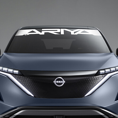 Rear Window ARIYA Graphics Decal for Nissan ARIYA
