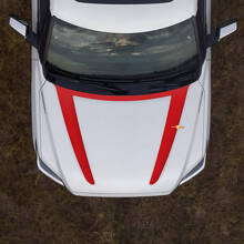 Double Hood Stripes Vinyl Decal for Toyota Sequoia 2025+_3