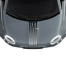 Adhesivo de calcomanía con franjas de degradado personalizado para capó para Fiat 500 2