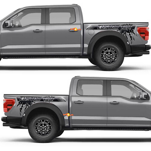 Side Stripe Rear Fender Splash Vinyl Decal Sticker for Ford F-150