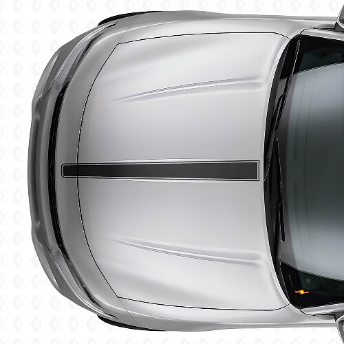 Thin Outline Hood Stripe Vinyl Decal for Dodge Charger