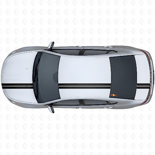 Double Stripes Upper Side Vinyl Decal Kit for Dodge Dart 2013+
