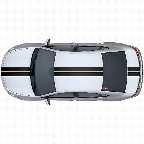 Double Center Outline Stripes Upper Side Vinyl Decal Kit for Dodge Dart 2013+