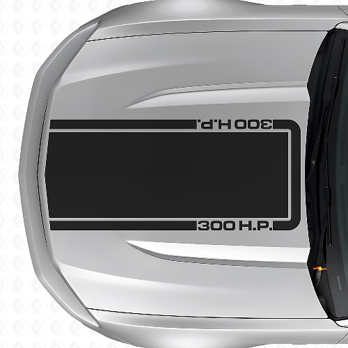 300 H.P. Hood Outline Stripe Vinyl Decal for Musclecar Musclecarmodel Mach 1 2010-20_1