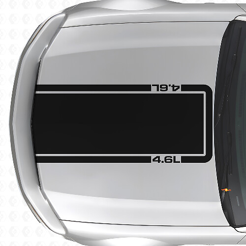 4.6L Hood Outline Stripe Vinyl Decal for Musclecar Musclecarmodel Mach 1 2005-09