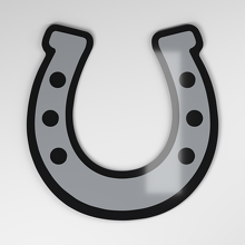 Horseshoe 3D Acrylic Car Badge_4