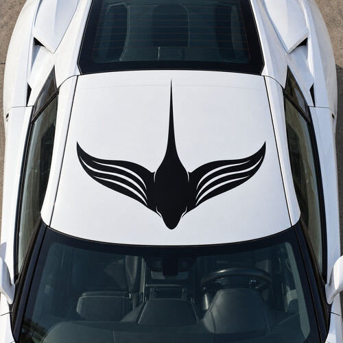 Ray Wake C7 Stingray Roof Vinyl Decal Sticker for Chevrolet Corvette 2014_1