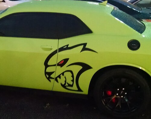 Hallcat Style Side Vinyl Decal Kit for Dodge Challenger