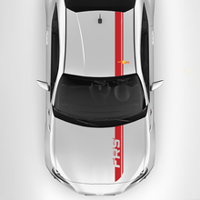 Dual Hood Roof Stripes Decals for Scion FR-S
 3