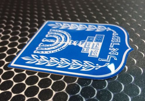 Israel Coat of Arm Flag Shield Proud Domed Decal Emblem Car Sticker 3D 2.5x 2