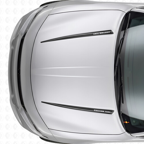 Dual Custom Stripes Hood Vinyl Decal Sticker for Dodge Charger 2015-2026_1