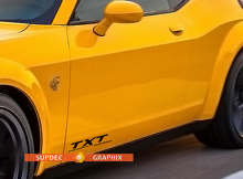 Custom Text Motorsports Vinyl Decal Set for Dodge Charger Challenger Viper_2