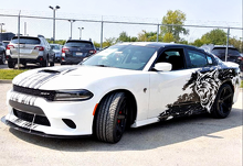 Custom Cat Head Distressed Stripe Pattern Full Kit Vinyl Decal Sticker for Dodge Charger Hellcat_3