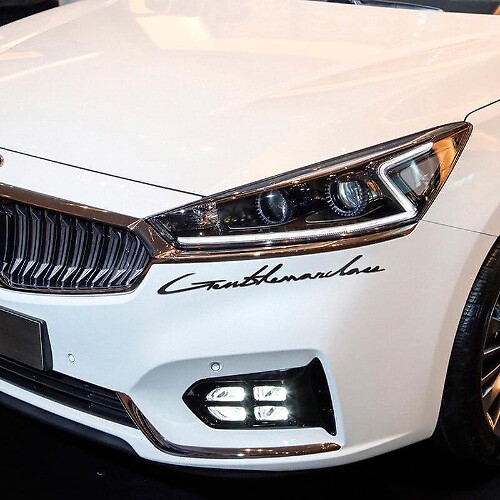 Letterning Emblem Logo Vinyl Decal for Musclecar