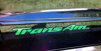 Door emblem lettering overlay decals made to fit 93-02 Trans Am
