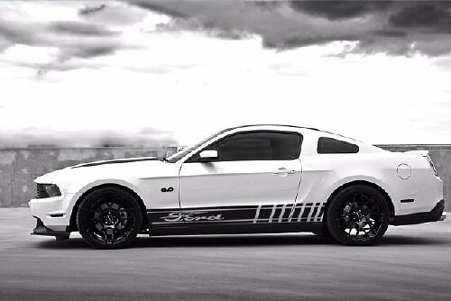 2X Multiple Color Graphics Mustang Taurus Escape Edge Vinyl Decal Sticker
