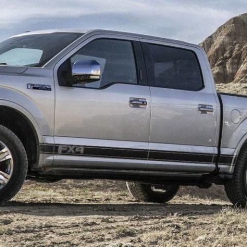 Ford F-150 2015-2018 mk13 FX4 graphics side stripe decal sticker