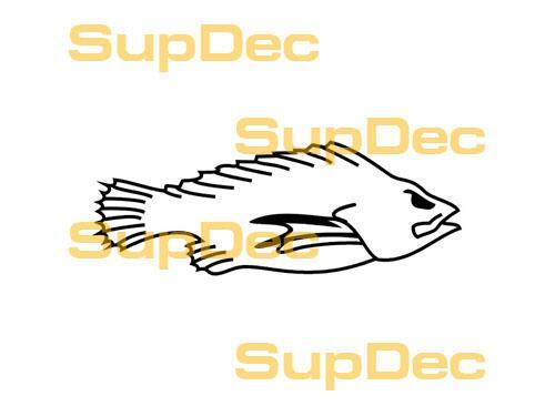 FISH Vinyl Art Wall  Window Bathroom Sticker Decal removable #1
